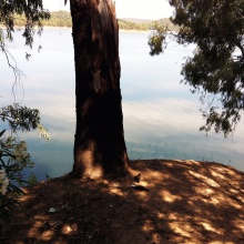 EL manantial perdido ( Hexa Conce )