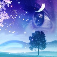 Following The Dream