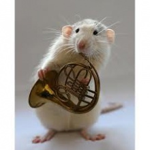 Concierto para Corno Franchute In F#
