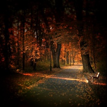 Autumn Comes II