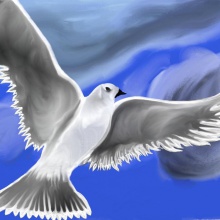 Sky fly
