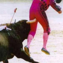 Torero joputa