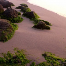 Caminando por la playa