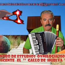 BLUES  DE  LA  PESETA