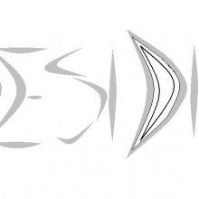 Desidia