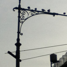 Siglo
