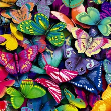 "Butterflies" por José Truchado