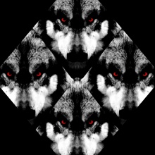Ȼrudeath ◊ Dovexx
