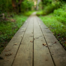 The Way (colaboración de Jomagher y Raton)