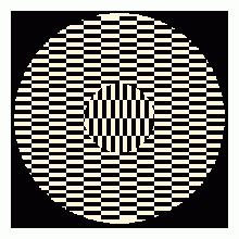 Trampe L'oeil