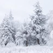 Blanca