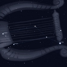 vega VII