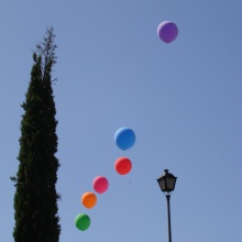 Babu's Flight