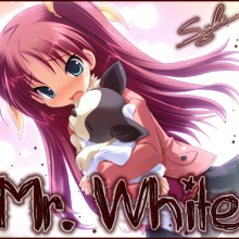 Mr.White