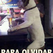 SIFRINEO EN LA DISCO