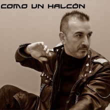 Como un Halcón