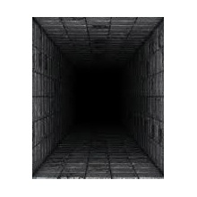 The Dark