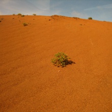 SAHARA