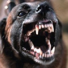 Rage