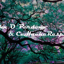 John'O Perdono y Cehache Respira - Tiembla (inst)