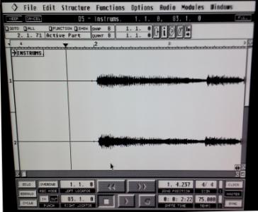 TT audio recording (3).jpg