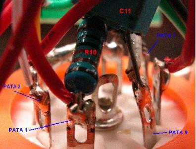 micro chino estándar.JPG