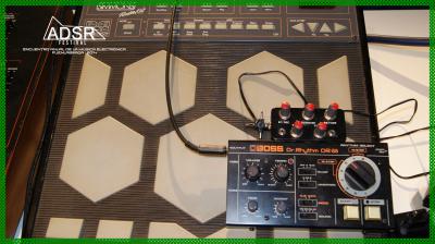 ADSR - Concentracio?n de Sintes9.JPG