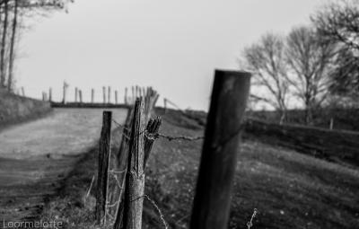 19012022-DSC_1044 (2).jpg