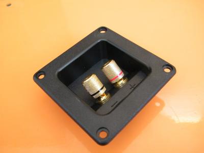 conectores-dobles-para-parlante-medida-75x75mm-banana-plug_MLC-F-4308942882_052013[1].jpg