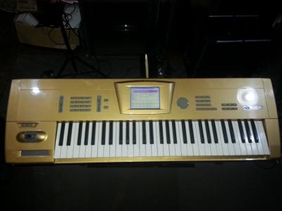 Manual del Korg Trinity plus en español : Pianos y órganos página 2