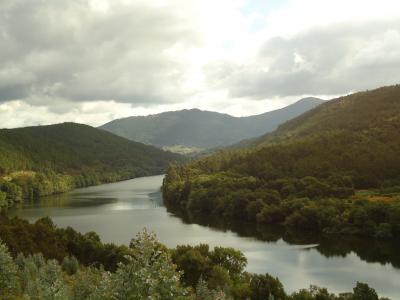 Ribadavia 6-7-11 (2).JPG