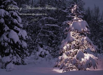 Navidad 2013-2014.jpg