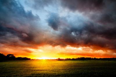 BClPtp2CEAE-8jZ.jpg large.jpg