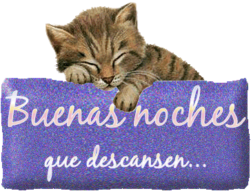 BUENAS NOCHESmk.gif