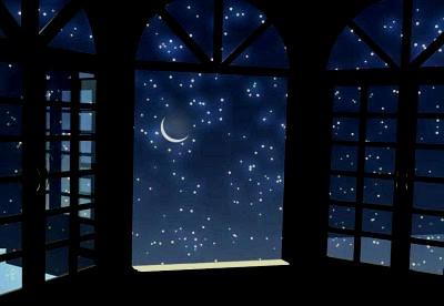 cielo estrellado.jpg