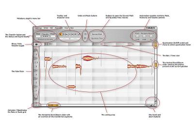 melodyne_plugin.JPG