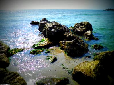 rocosas.jpg
