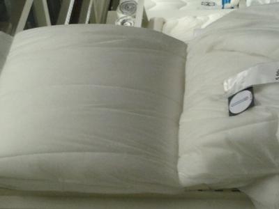 2013-03-21 13.02.13.jpg