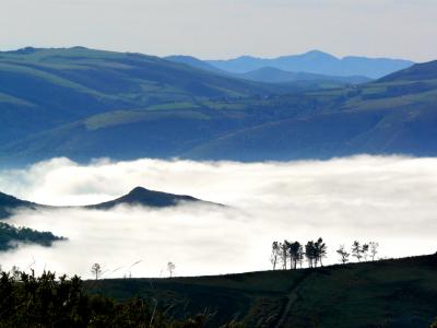 Acunando la niebla.jpg