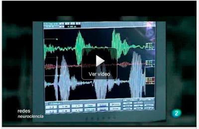 actividad_cerebral.jpg