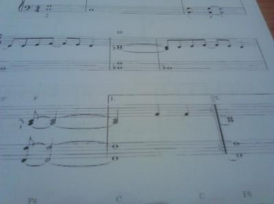 con las dos ligaduras.jpg