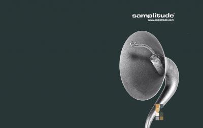 samplitude_1900_1200_3b.jpg