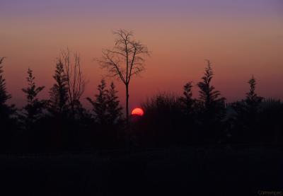 2-bis-amanecer-rojo-2012-mejorada-Web.jpg