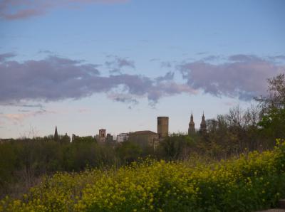 skyline_de_logrono_by_carmelopec-d6280dk.jpg