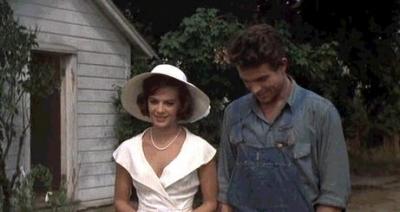 esplendor en la hierba 5.jpg