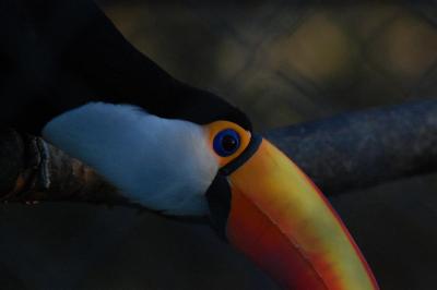 16-6-08 Ecas 218 (Large).jpg