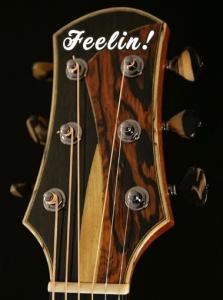 feeling headstock.jpg