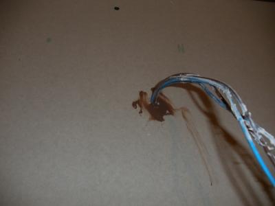 construcció estudi 205.jpg