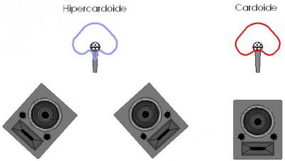Patron polar y monitores.JPG