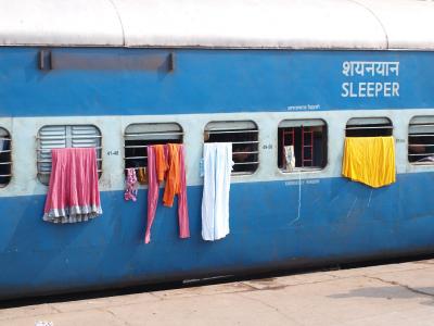 P1010331 reduced.jpg